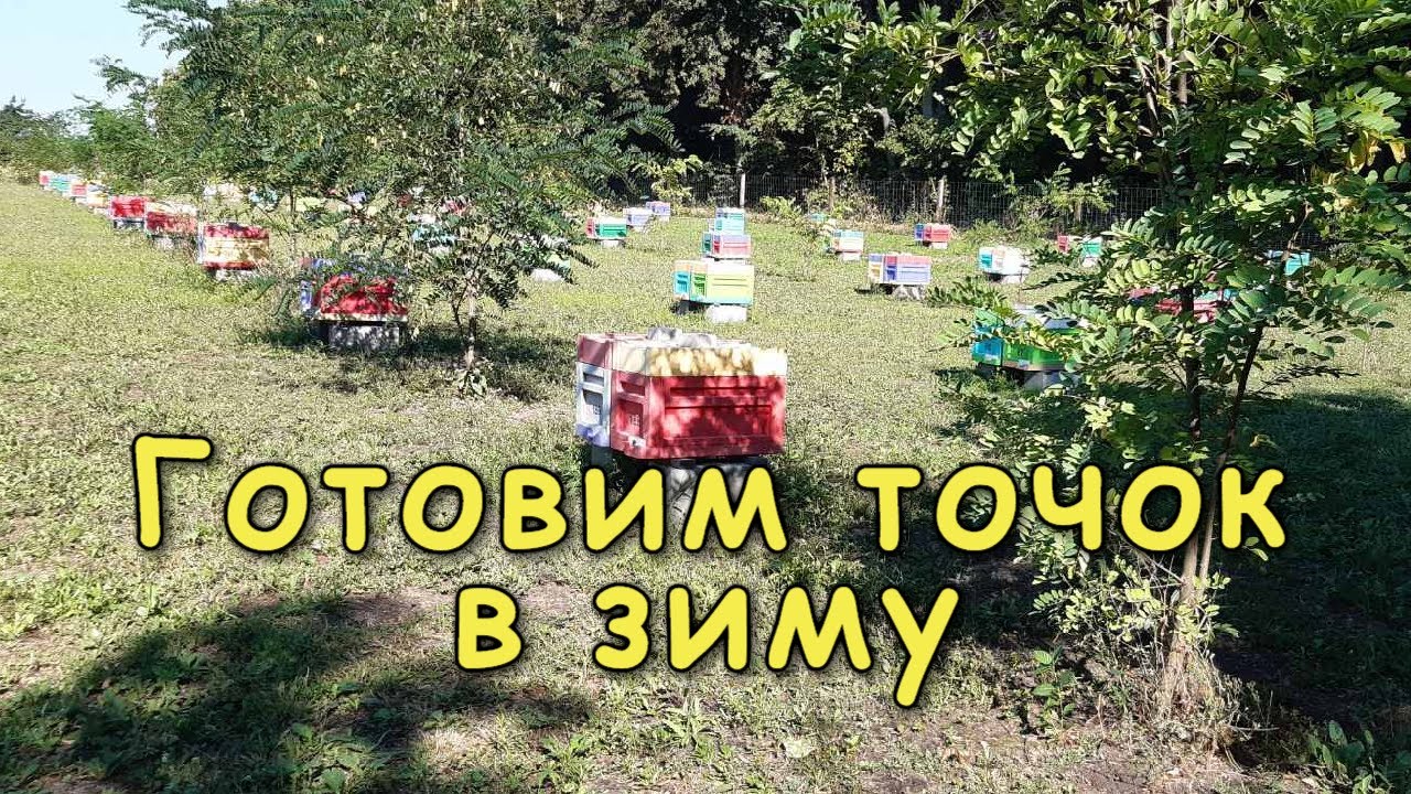 Обьединение 3 рамочников в 6 рамочник APIX /Готовим точок в зиму
