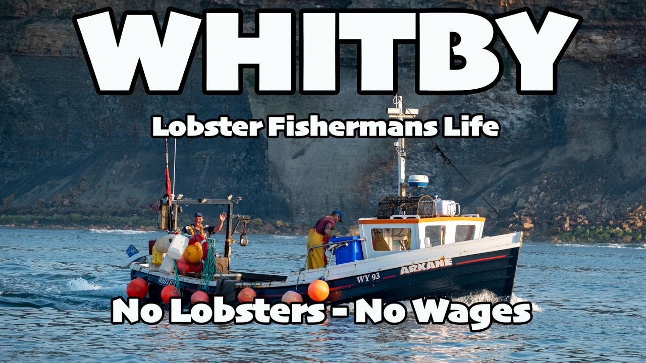 Whitby Lobster Fishermens Life - Will The Wages Be Paid ?