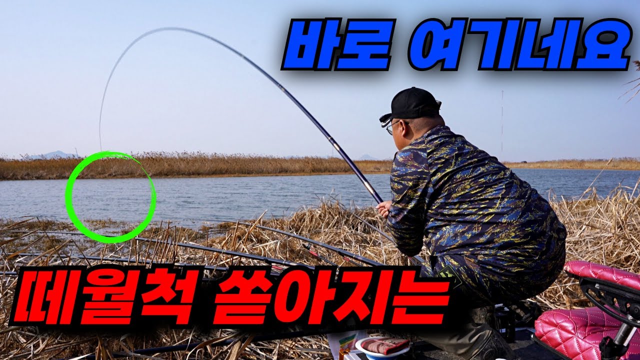 미암수로, 학산천 뒤를 잇는 붕어낚시 대박터! / 마릿수 & 씨알 모두 최고 / 해남 산이수로 붕어낚시