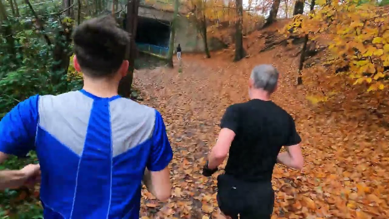 Worsley Woods 16/11/2024