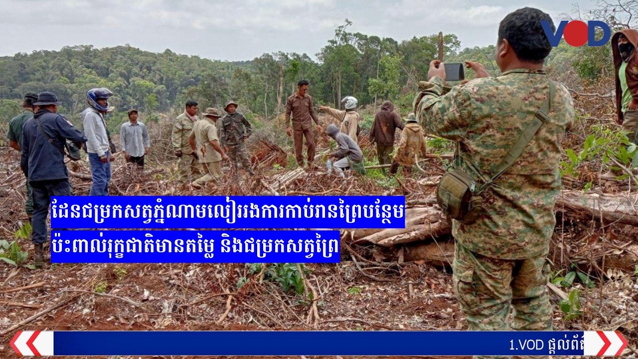 ដែនជម្រកសត្វភ្នំណាមលៀររងការកាប់រានព្រៃបន្ថែមប៉ះពាល់រុក្ខជាតិមានតម្លៃ និងជម្រកសត្វព្រៃ