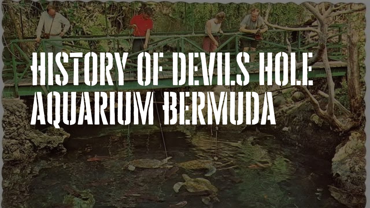 The History Of Devils Hole Aquarium