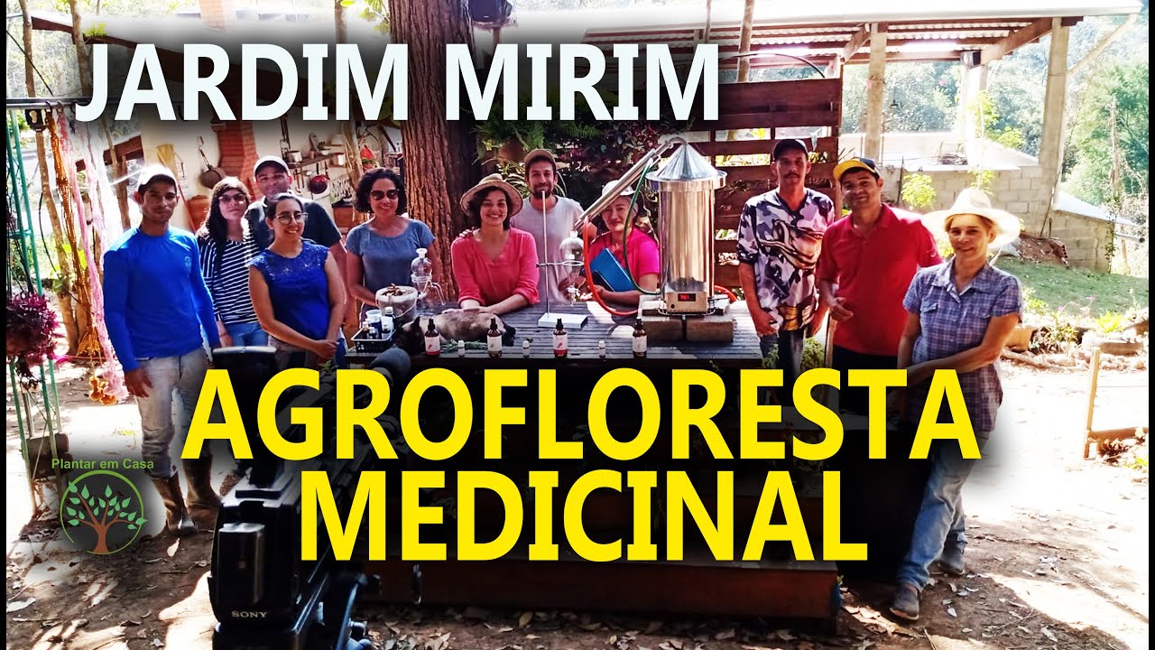 01 Plantas Medicinais e Óleo Essencial, Agrofloresta Medicinal Oficina do Plantar em Casa