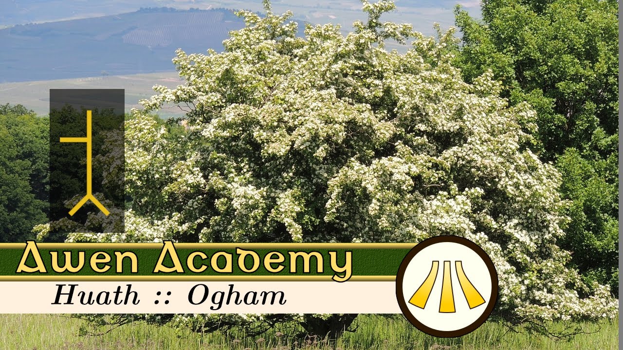 Huath : Hawthorn Magic