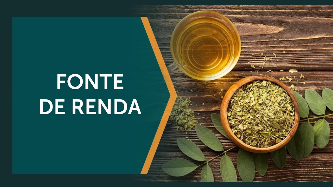 Árvore de pequeno porte revoluciona a agricultura familiar