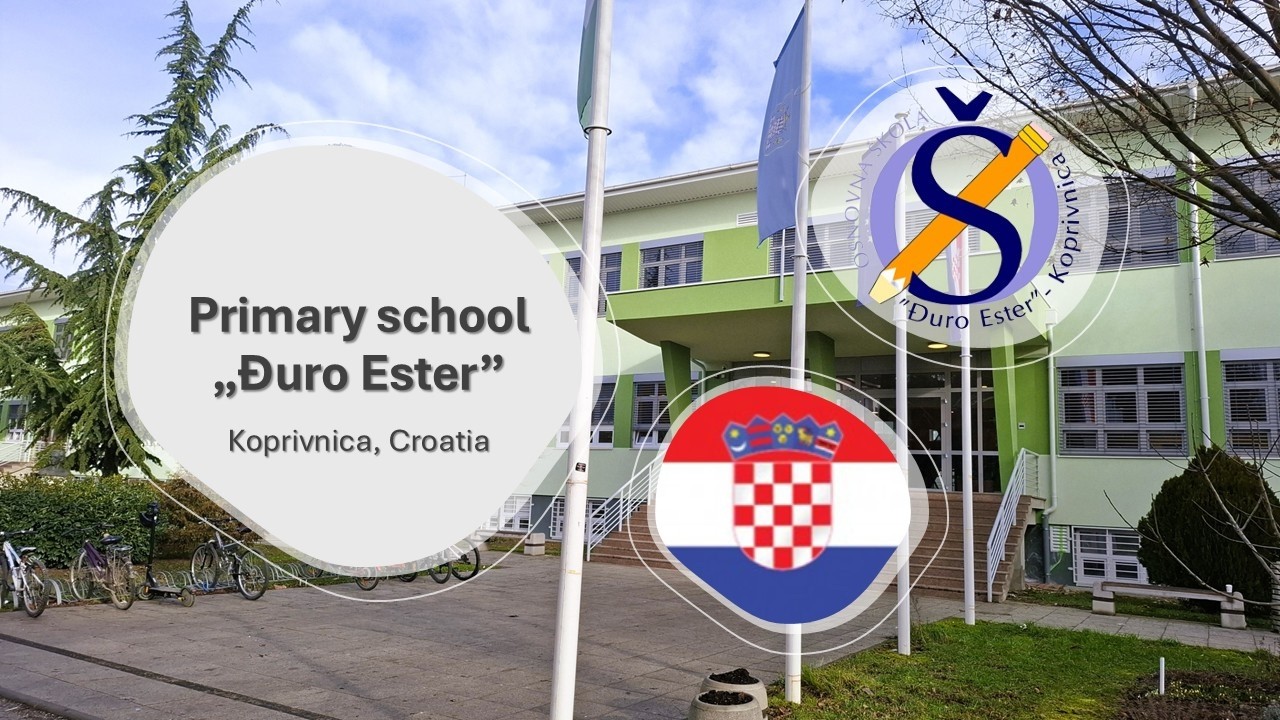 Elementary school  