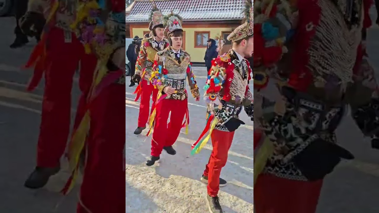 Căluțul, Ursul și Capra Tradiții din  Volovăț Bucovina România 🇹🇩#traditional #bucovina #volovat 