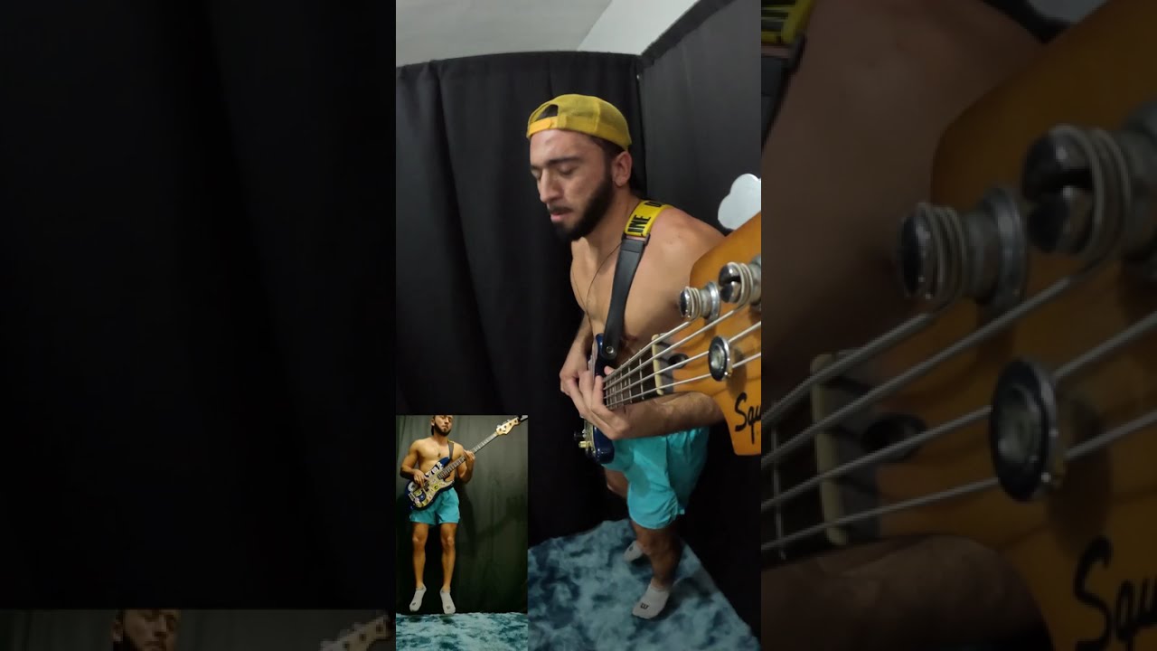 Red Hot Chili Peppers - Especially in Michigan - Bass Cover