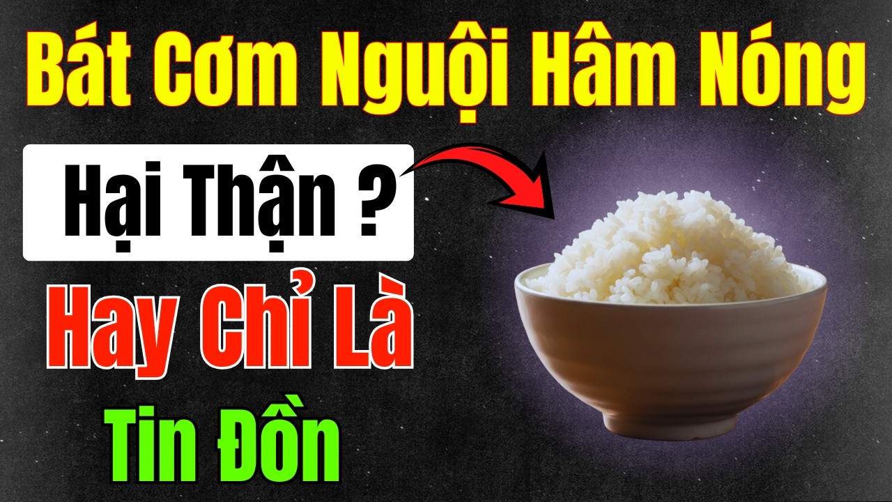 Ăn Cơm Để Qua Đêm Có Ảnh Hưởng Thận Không? Sự Thật Khoa Học | Người Cao Tuổi Nên Biết!