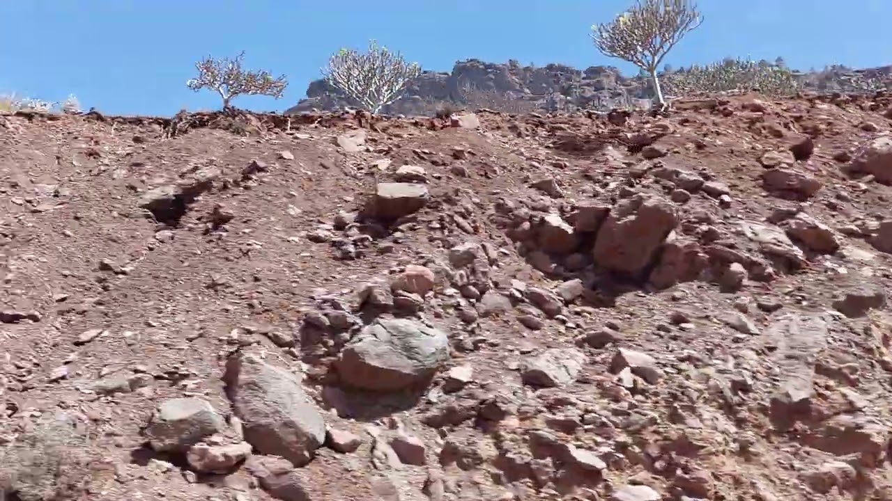 GRAN CANARIA 2025 Teil 42 