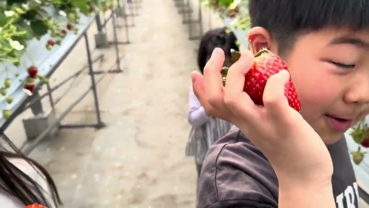 お友達といちご狩り🍓