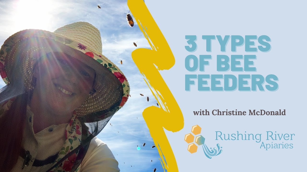 Three Types of Bee Feeders