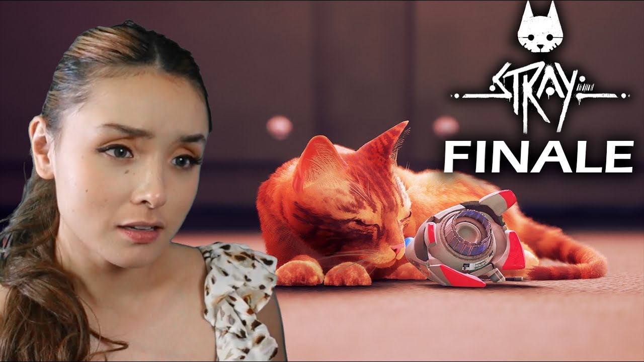 Stray ENDING Finale | Gameplay Walkthrough Playthrough Reactions PS5 4K60