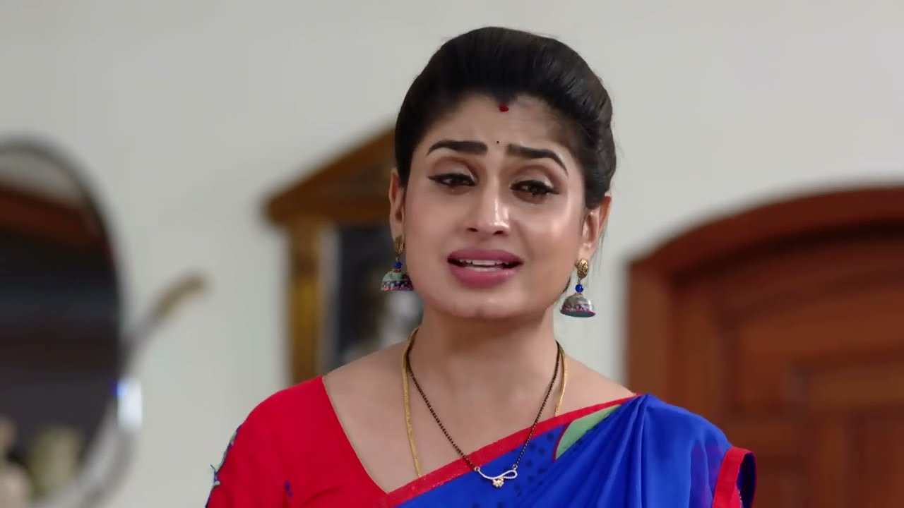 Akka Chellellu - Ep 452 - V. B. Rajendra Prasad - Telugu Tv Serial - Zee5 Telugu Classics