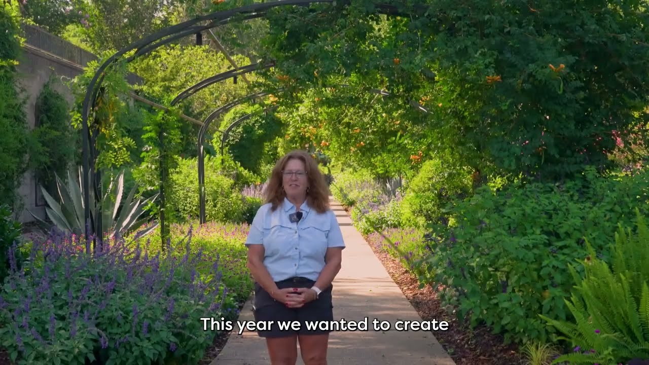 Summer Annual flowers in The Color Garden | Garden Inspiration