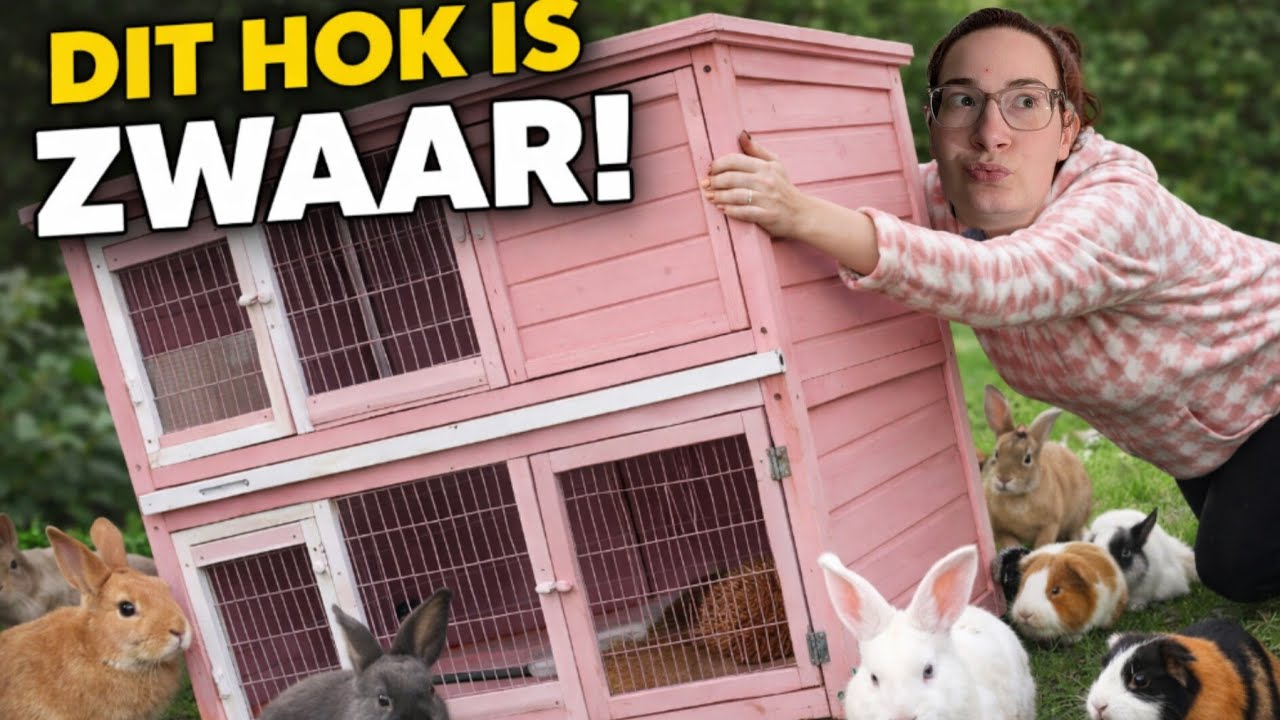 KONIJNEN VERPLAATSEN EN JAYDEN ZIEK THUIS #1109 