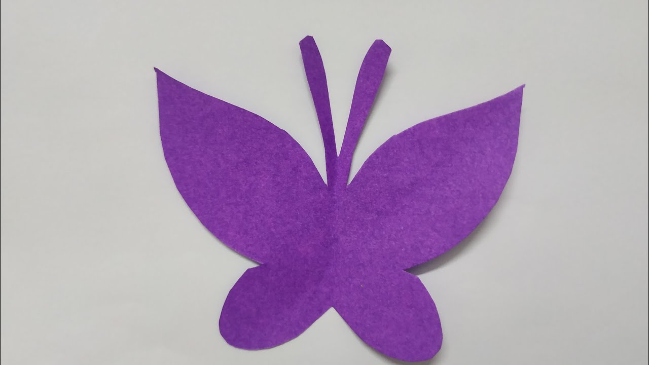 purple colour butterfly