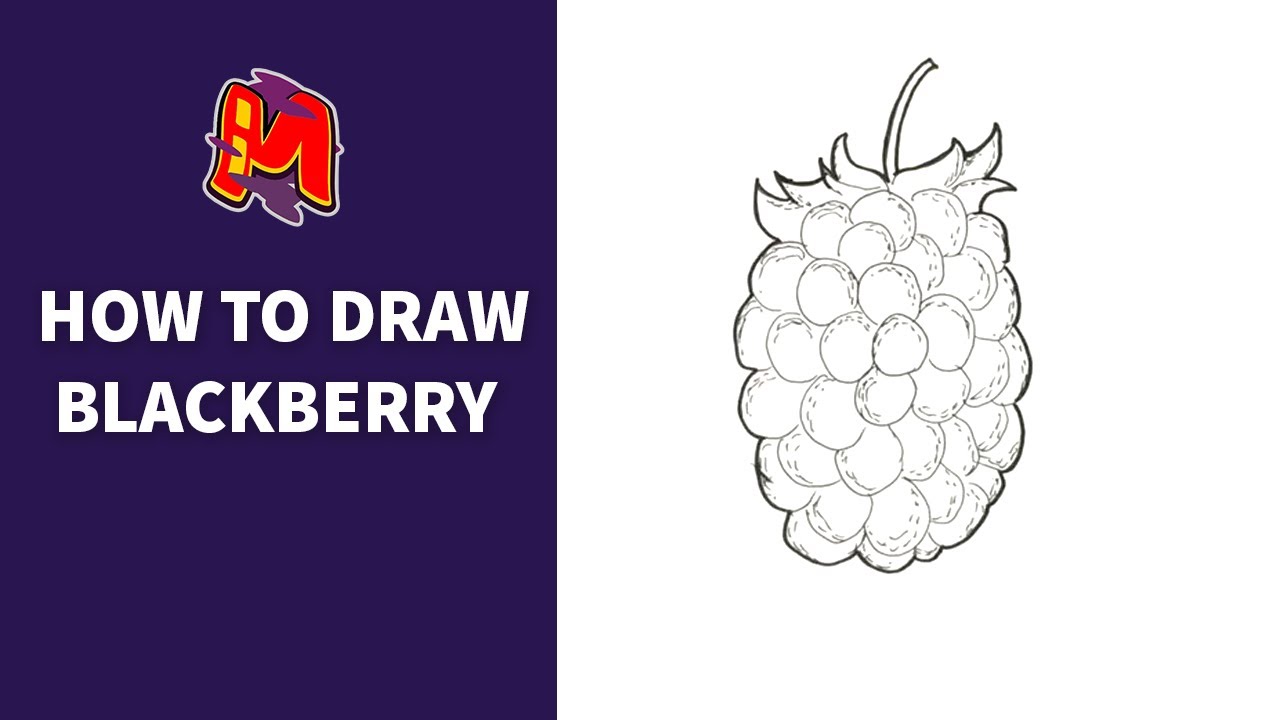 How to Draw Blackberry Easy