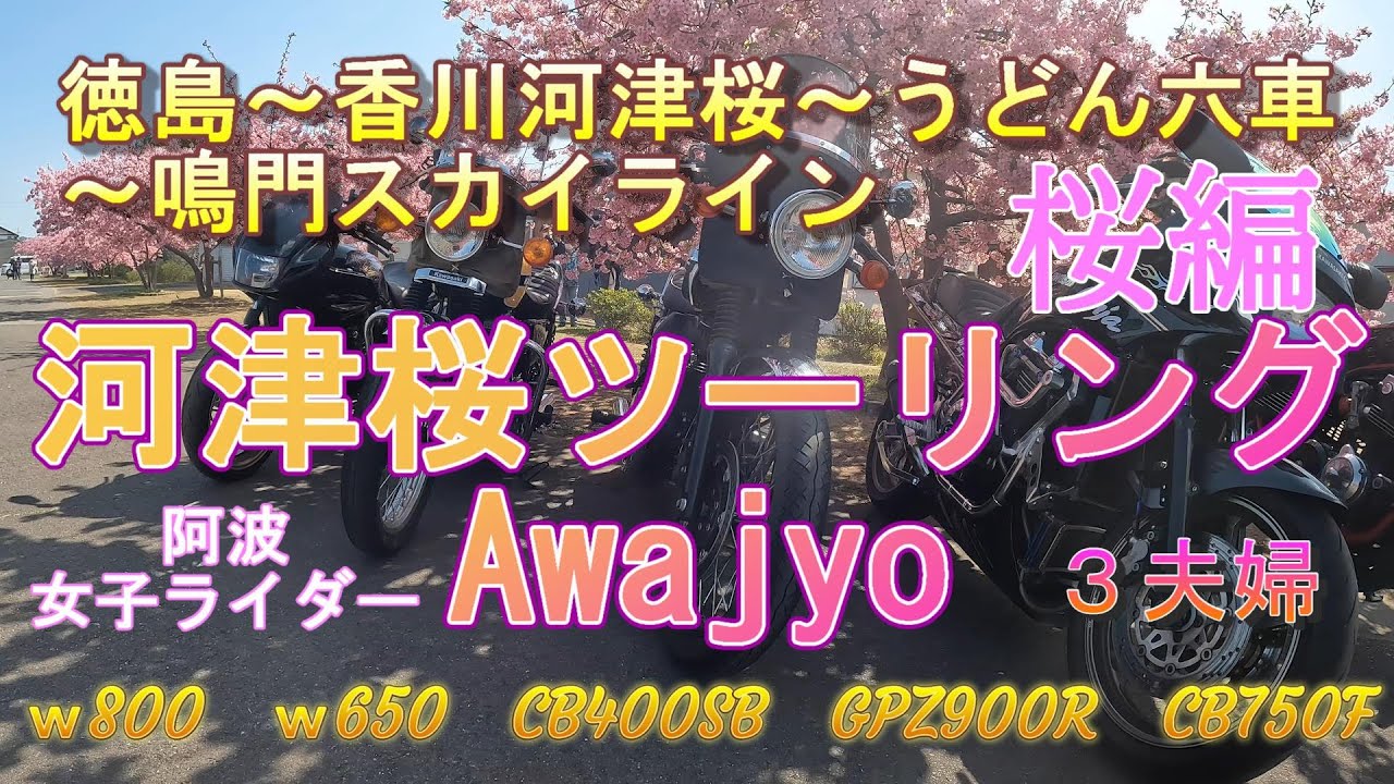 女子とバイクと桜　🌸河津桜ツーリング🌸　桜とバイクの映え撮影！前編