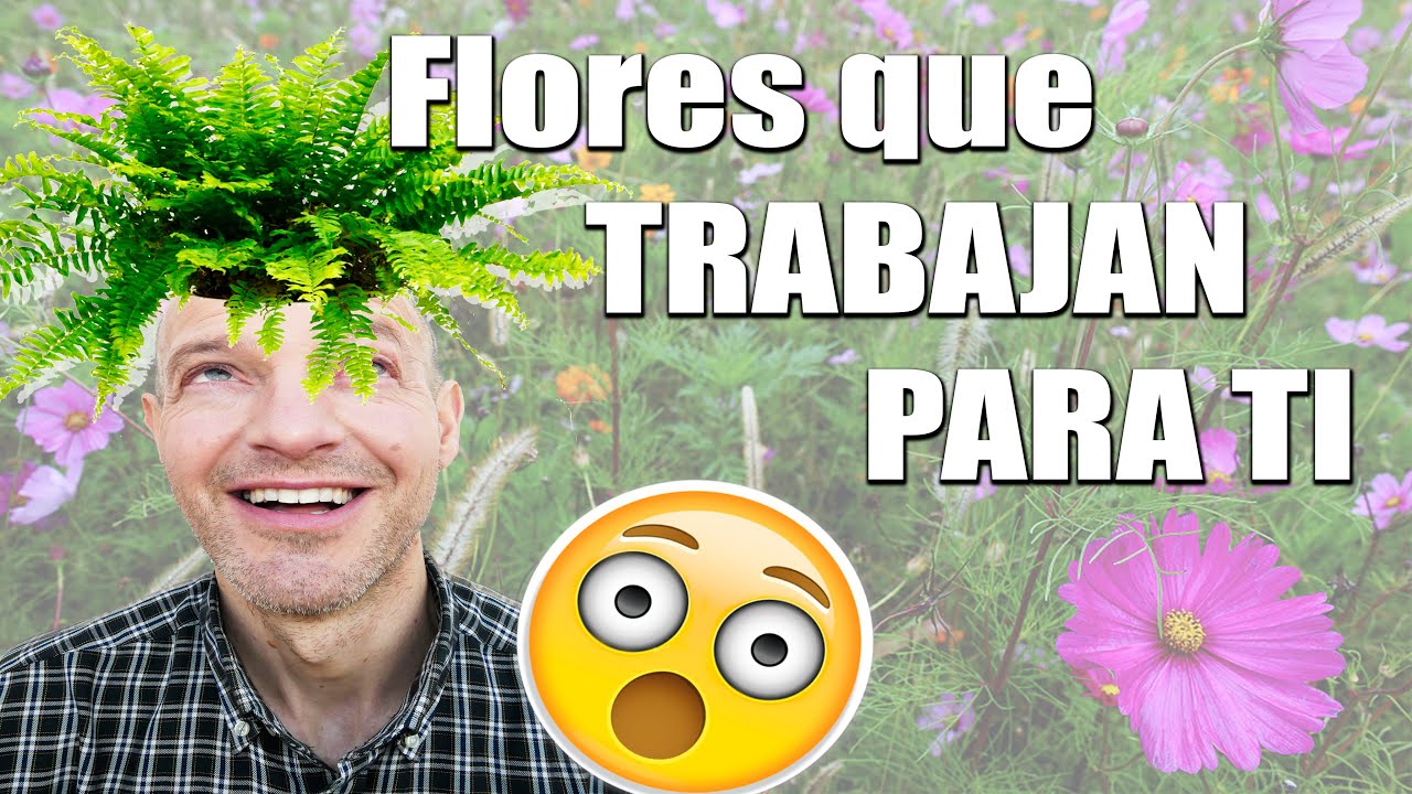 FLORES que TRABAJAN para ti!!!