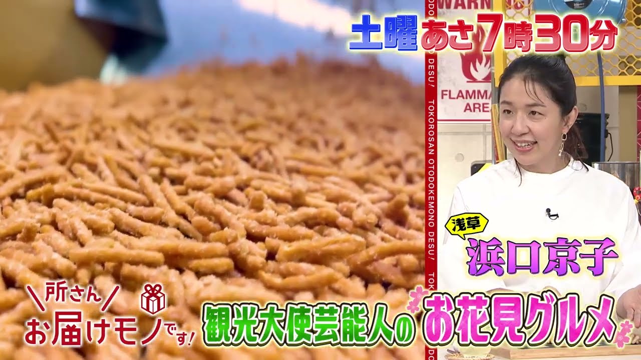 『所さんお届けモノです!』観光大使芸能人の&ldquo;お花見グルメ&rdquo; 3/15(土)【TBS】