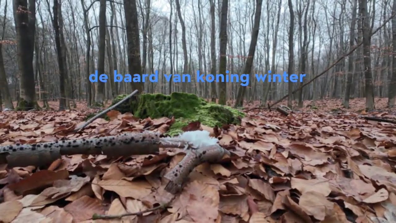 Mooie winterwandeling in Hulshorst over de zandverstuiving en in het bos langs de Hierdense beek