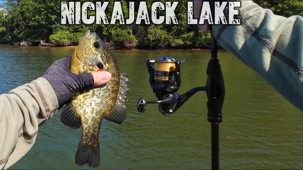 Nickajack Lake --   LAST Trip for 2024 !
