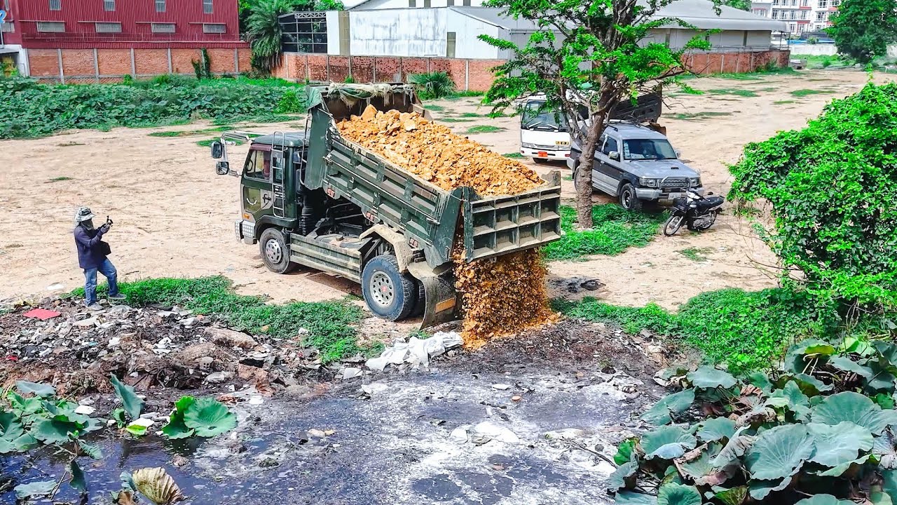 NICELY! Start Project LANDFILL by Best skill Driver KOMATSU D31PX pushing & 5T Trucks unloading soil