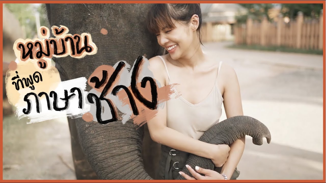 หมู่บ้านชนเผ่าช้างที่ใหญ่ที่สุดในโลก!  | ARTWORLD EP.7