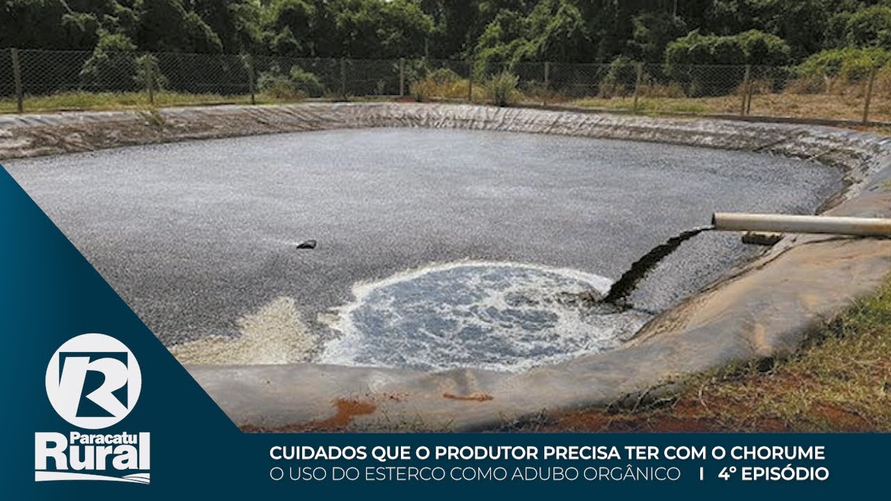 Cuidados que o produtor precisa ter com o CHORUME é o 4º episódio sobre 