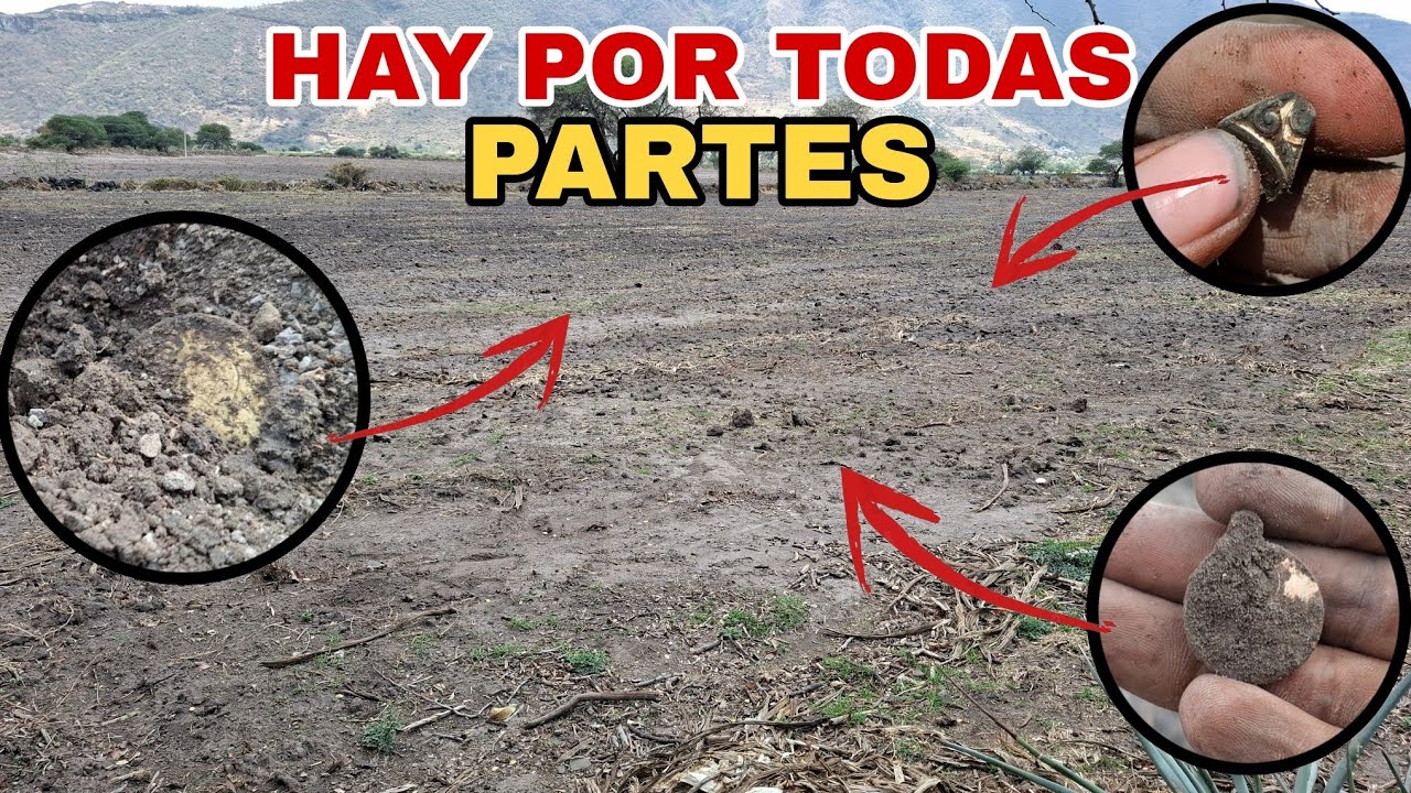 trabajadores encuentran 40 piezas de oro aqui!! lo que encontre es increible
