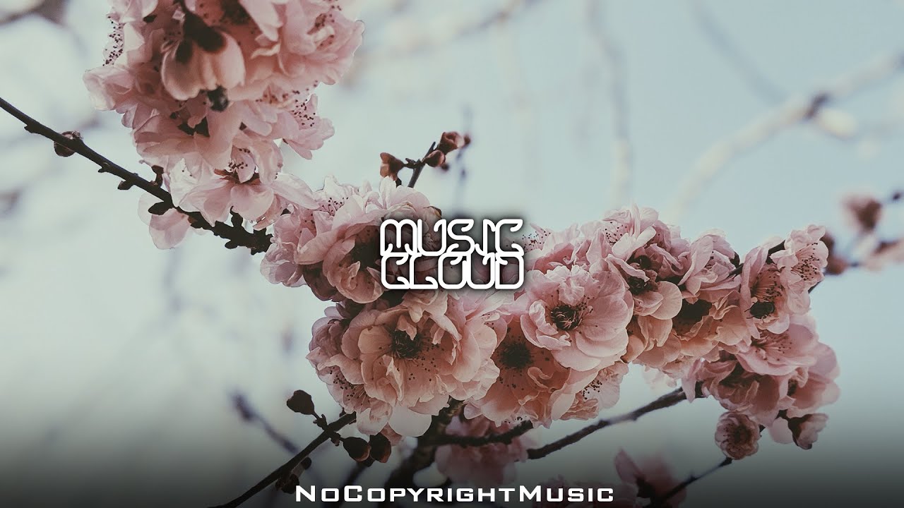 Musicstockproduction - Lyrical Folk | Copyright Free Music