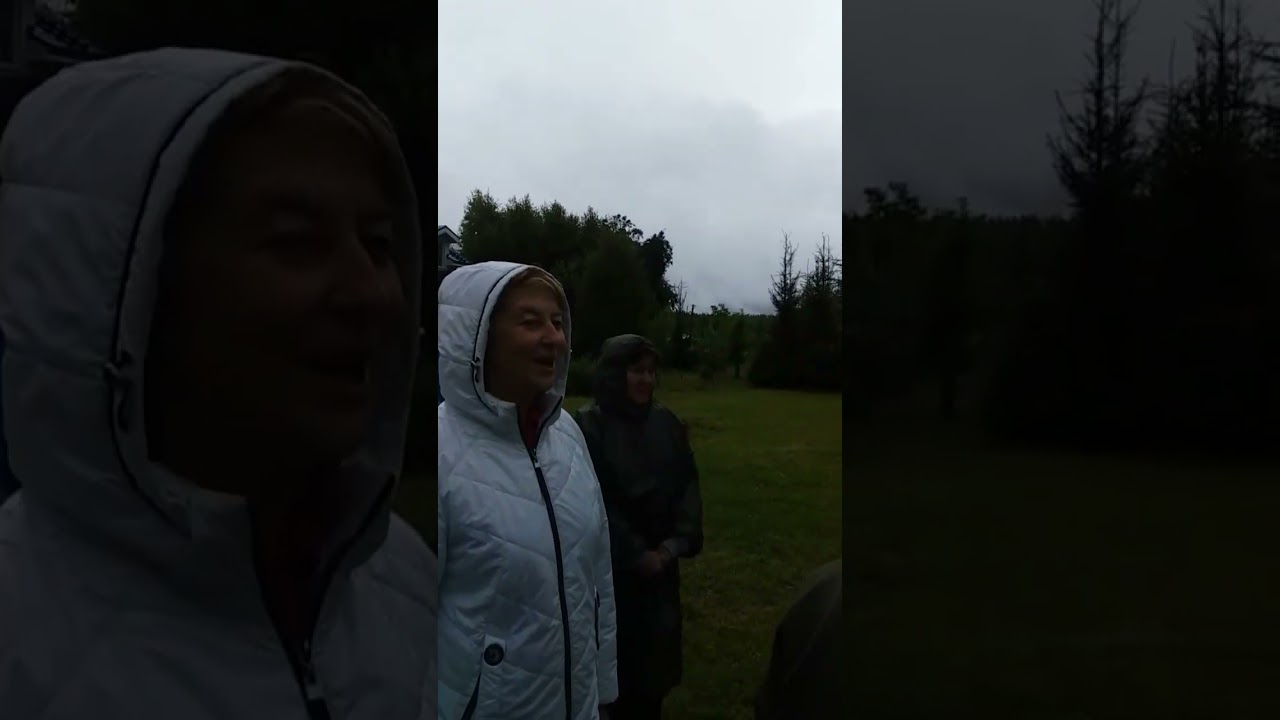 Введение в Форум МаЭД Митрограда. 1-й день Форума. Наталья Гришаева. Мир Универсологии