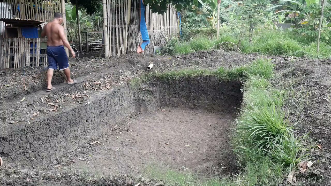 tilapia fish pond preparation