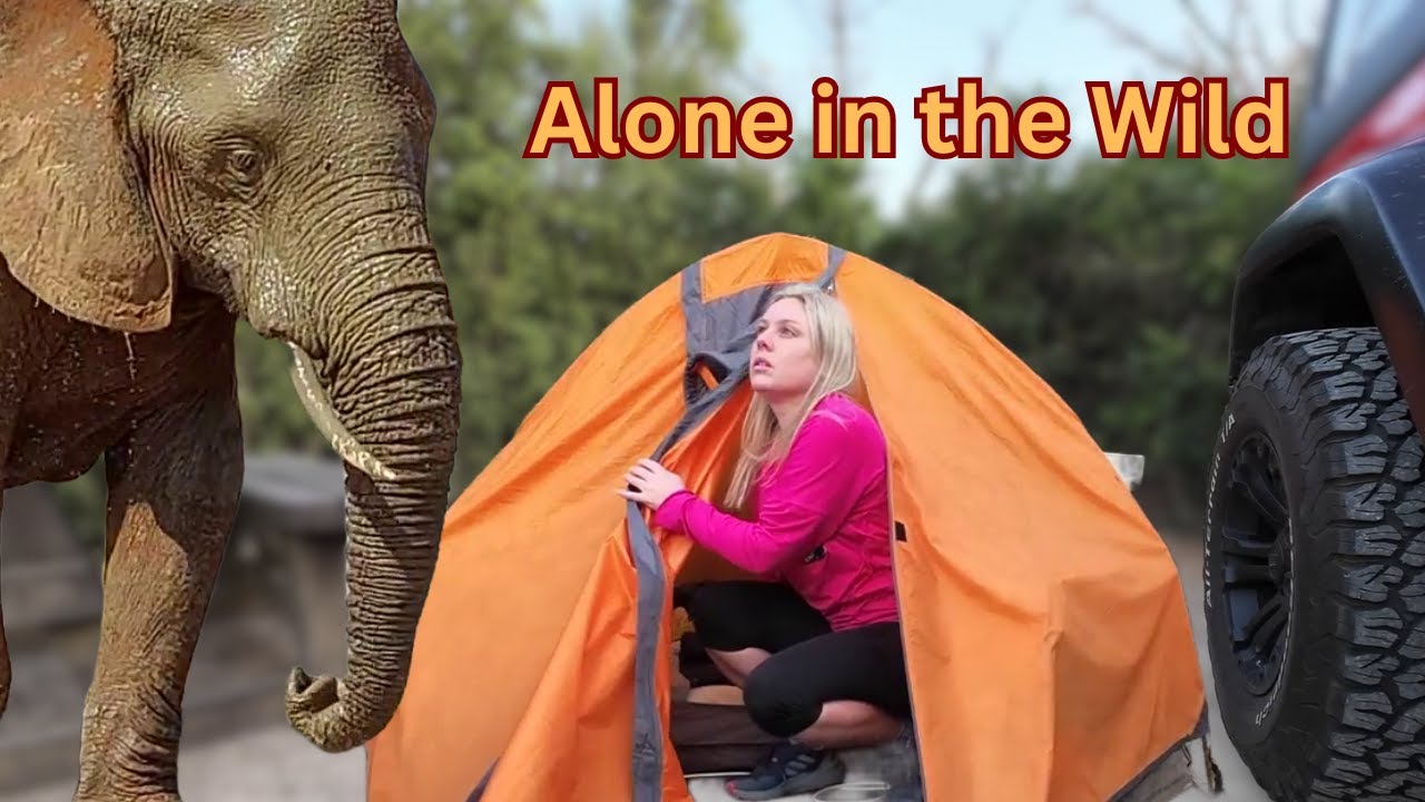 Alone in the Wild - A Solo Camping Safari in South Africa