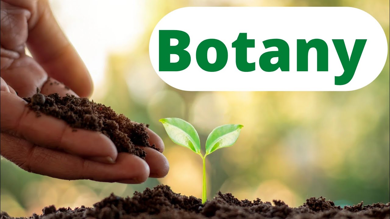 #CEE #bridgecourse  Botany Most Frequent MCQs in College  Entrance Exams #sos #stxavierscollege