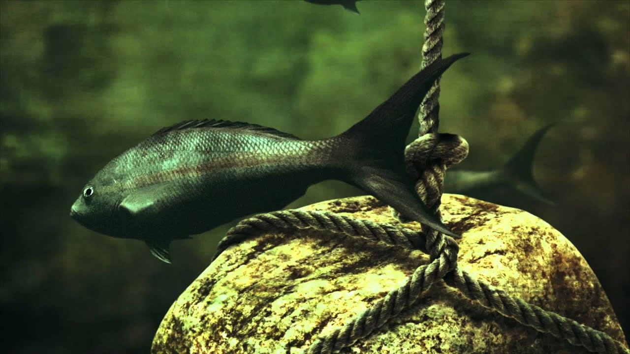 Wolves At The Gate 