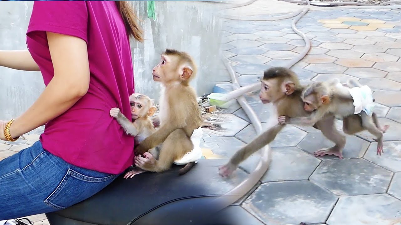 Cici Hug Moly's Back So Strong When Moly Running To Ride Motorbike With Mum