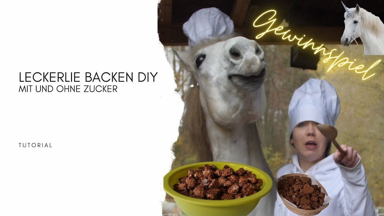 Pferdeleckerlie backen DIY (mit und ohne Zucker) - Tutorial