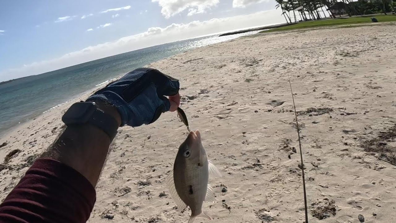 Winter Shore Casting at Belle Mare - Fishing Beach Mauritius