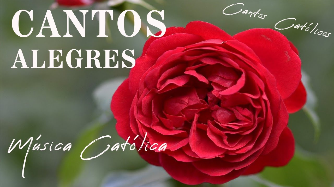 CANTOS ALEGRES - cantos CATOLICOS - Música Católica que alegre