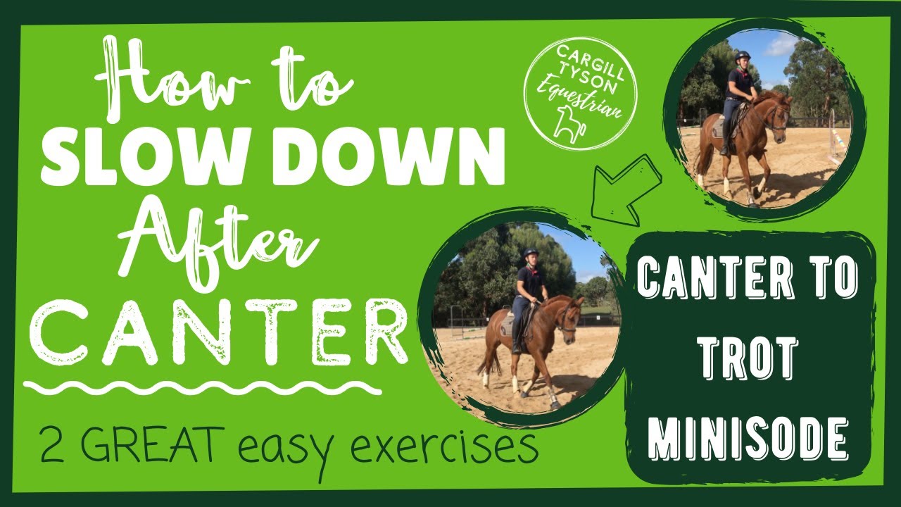 How to SLOW DOWN after the canter - improve your canter to trot transitions + Stop RUSHING in trot!