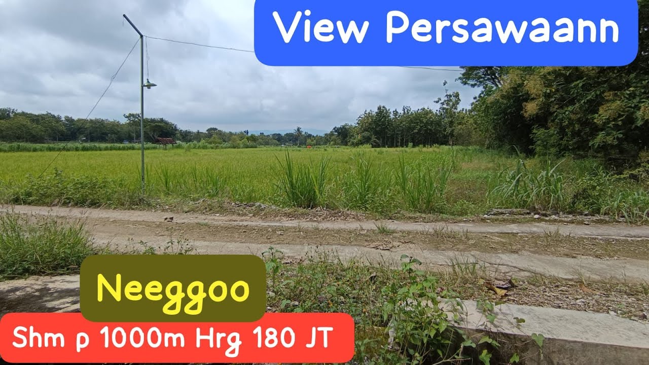 🔴View Jooss Siap Di Bangun Homstay Pribadi #jualtanah #tanahmurahgunungkidul 