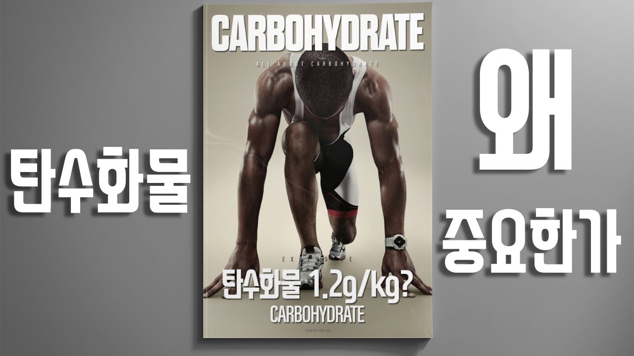 탄수화물 왜 중요한가? 🍚