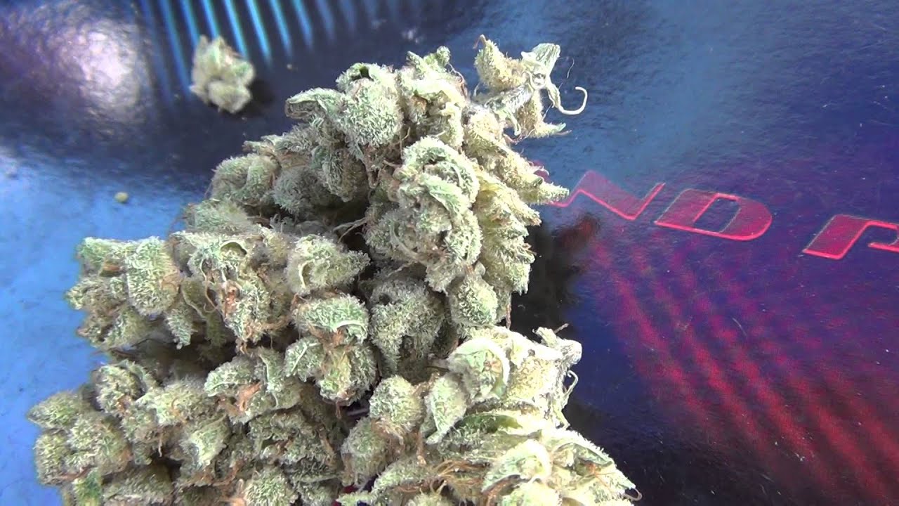 Showing some dank Bubblegum Nugs from Altitude Organic Medicine