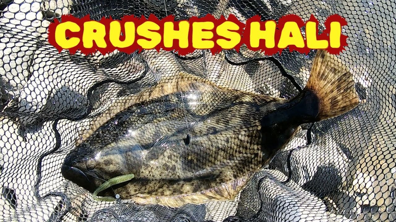 This Japanese Soft Bait Crushes Halibut – The Bubbling Shaker