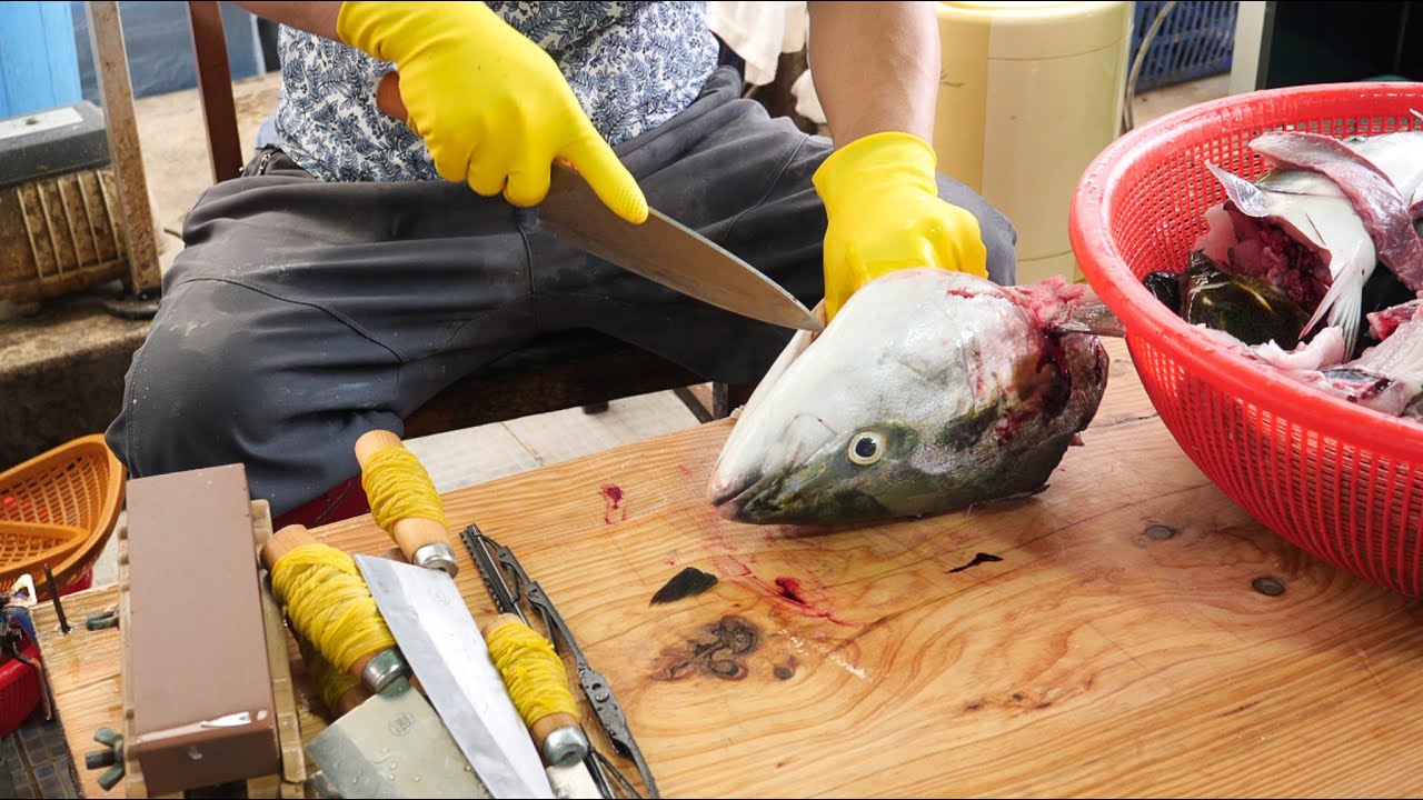 순식간에 급소를 정확히 꼽고! 광속으로 썰어버리는 전설의 칼잡이 회뜨기 달인 Amazing seafood cutting Master