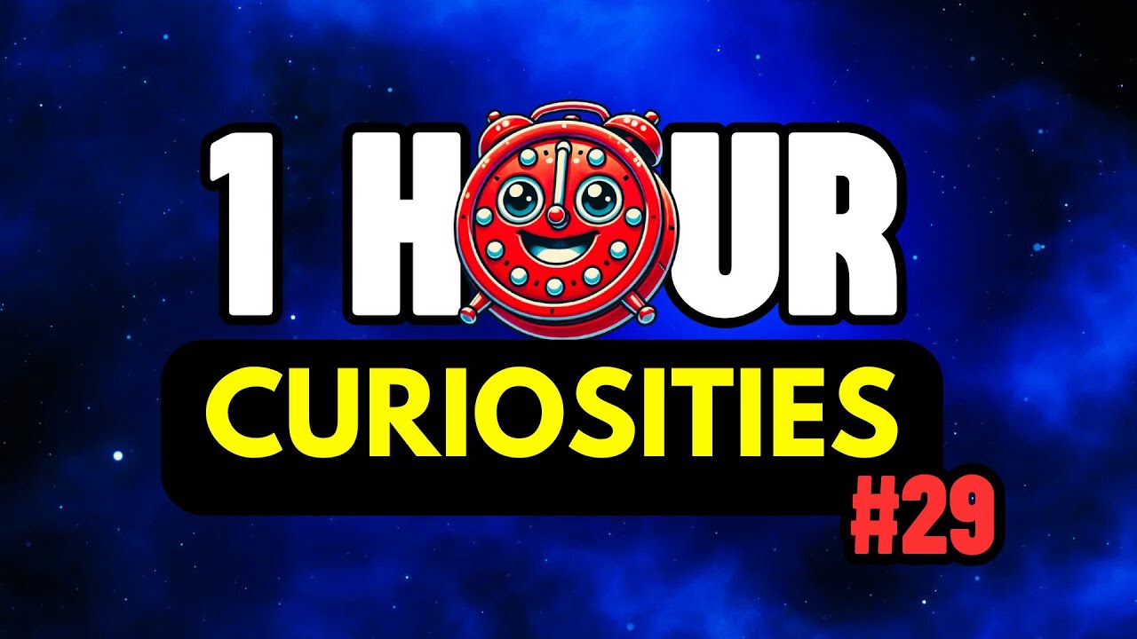1 HOUR Of Many Random CURIOSITIES Of The World😲⏰| #29