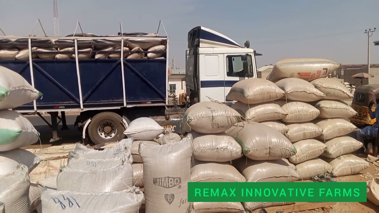 Visitation to the  largest GRAIN market in Africa.  Dawanau MARKET , KANO STATE.