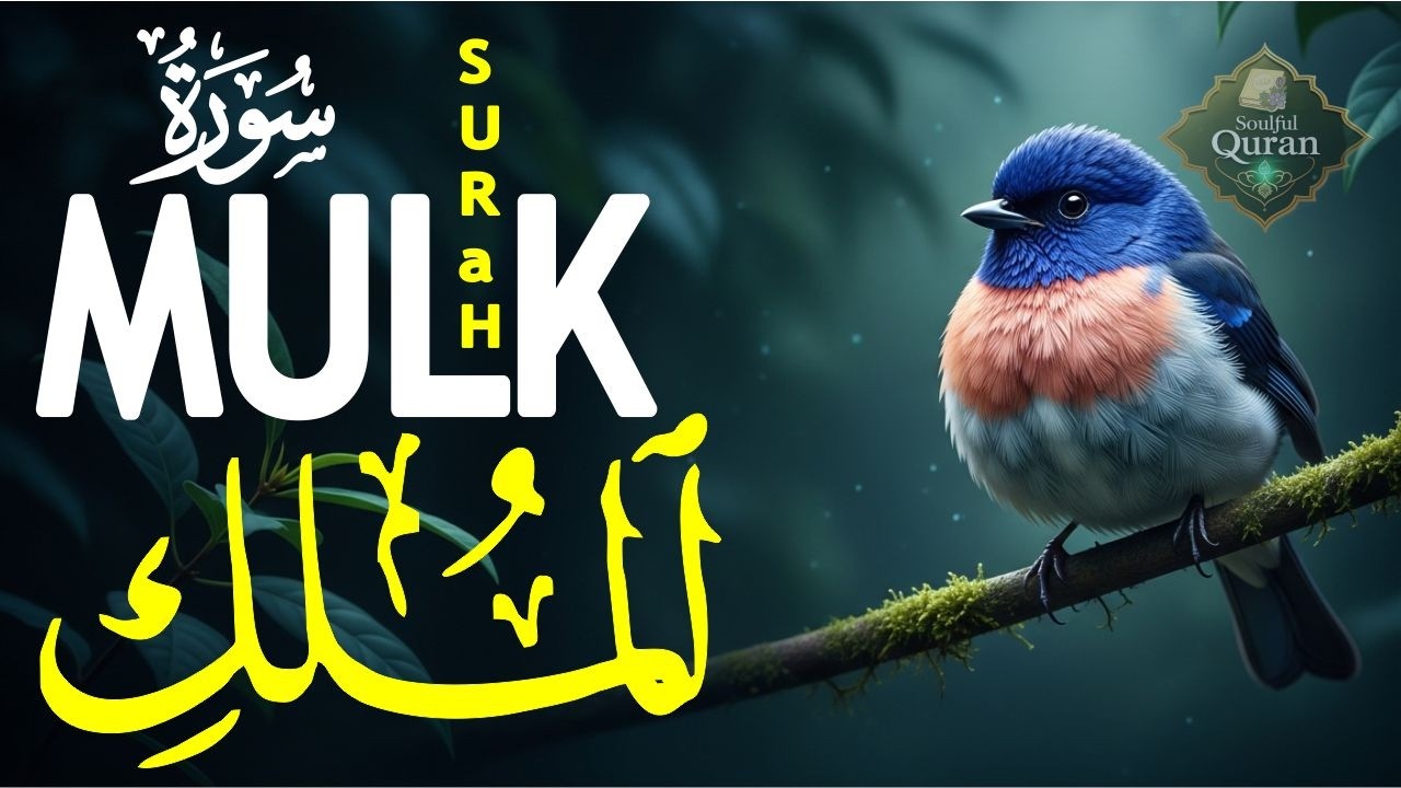 World's most beautiful recitation of Surah MULK (The Kingdom) سورة الملك | EP 13